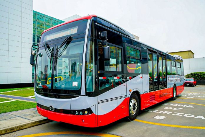Bus Patrón Eléctrico