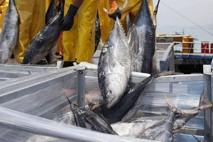 Pesca