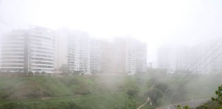 Neblina