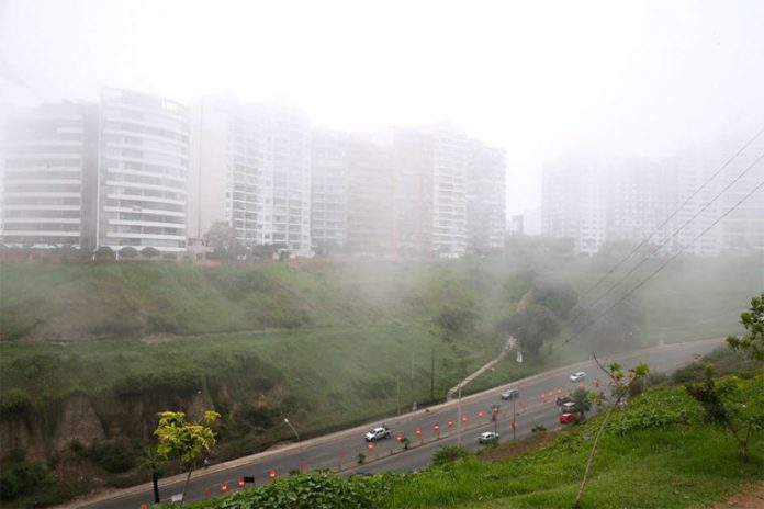 Neblina