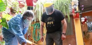 Minsa alerta sobre incremento de casos de dengue en diez regiones