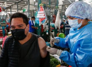 Lanzan estrategia para aproximar brigadas de vacunación Vacunación
