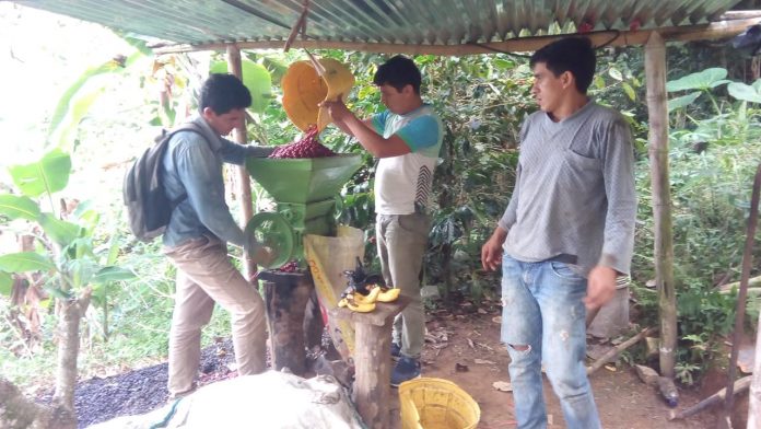 Golden Cup Perú-Taza Dorada Perú