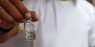EsSalud distribuirá gratuitamente repelente contra el dengue