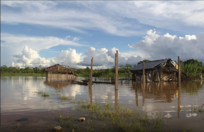 Amazonas