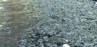 derrame de petróleo