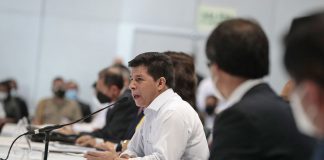 Pedro Castillo Terrones