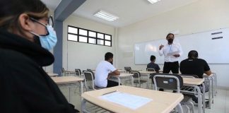 Docentes