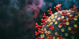 Coronavirus SARS-Cov-2