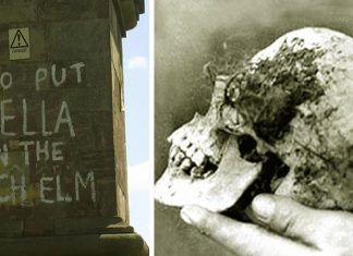 Encuentran el cráneo de Bella en el olmo de la bruja