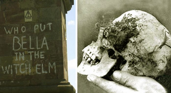 Encuentran el cráneo de Bella en el olmo de la bruja