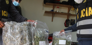 Descubren laboratorio de marihuana en el Valle Sagrado de los Incas Laboratorio de marihuana en el Valle Sagrado de los Incas
