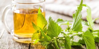 Infusiones para revitalizar los huesos Infusiones