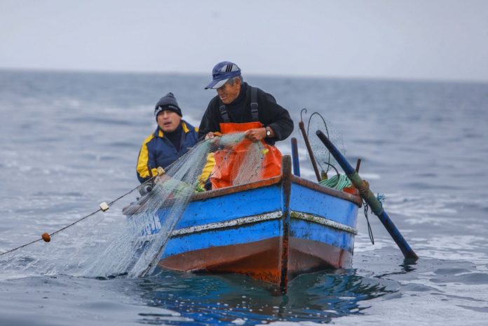 pesquera artesanal pesca artesanal