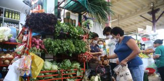 alimentos
