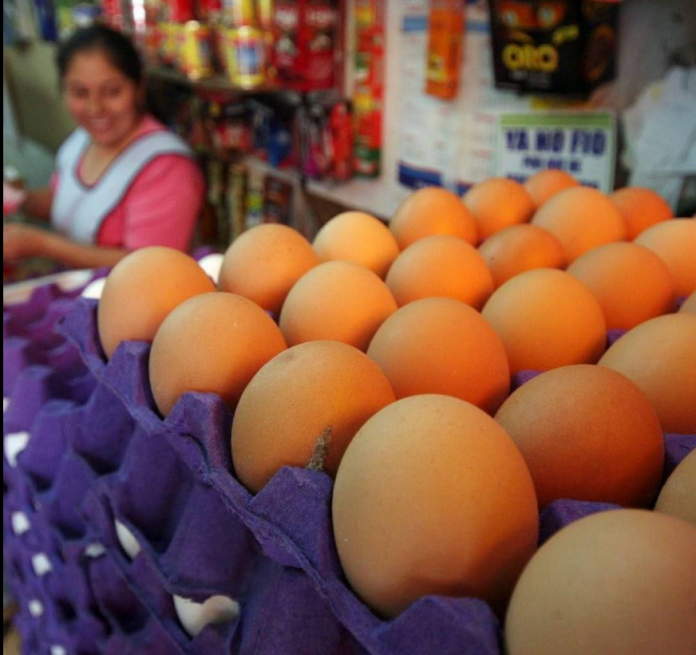 Huevos