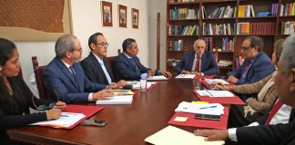 Tribunal Constitucional