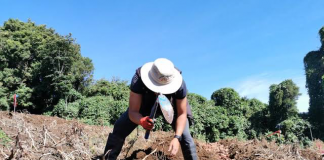 Productores agrarios