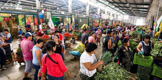 Mercado Mayorista
