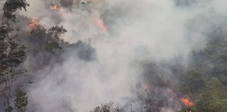 Incendio en Machu Picchu dejó en cenizas más de 20 hectáreas