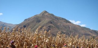 Agricultores