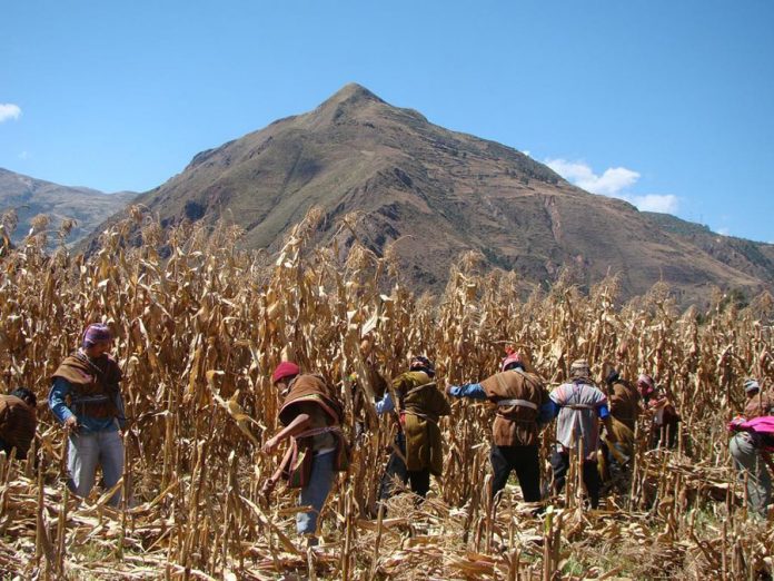 Agricultores