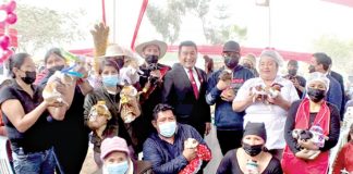 Municipalidad de Ate organiza Festival del Cuy