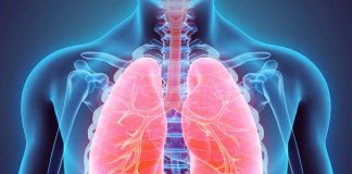 pulmones