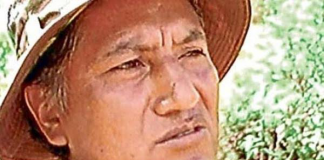 Víctor Quispe Palomino