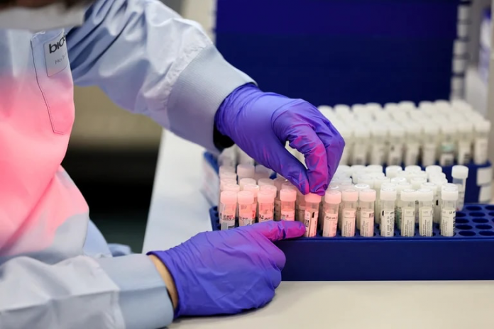 Laboratorio