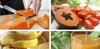 Alimentos