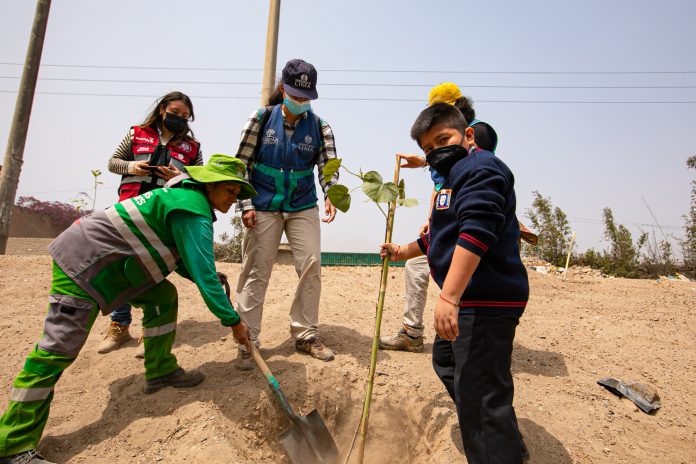SERPAR: realizan plantación en Ate por el Día del Árbol SERPAR: realizan plantación en Ate por el Día del Árbol