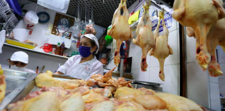 Precio del pollo sigue por las nubes y cada vez se vende menos Pollo