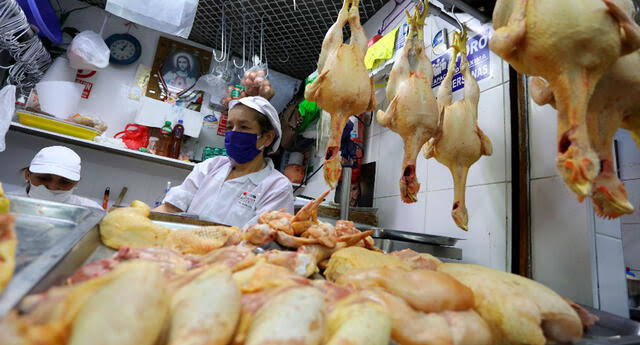 Pollo
