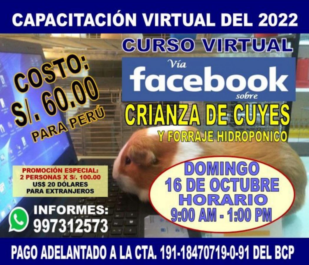 Los 4 pilares de la crianza de cuyes