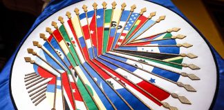 Organización de Estados Americanos (OEA),