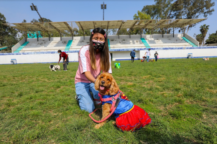 Perritos desfilarán disfrazados en Club Zonal Lloque Yupanqui