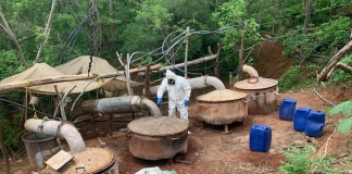 Por qué el Cártel de Sinaloa recluta a profesores universitarios en sus filas