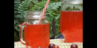 Refresco de camu camu