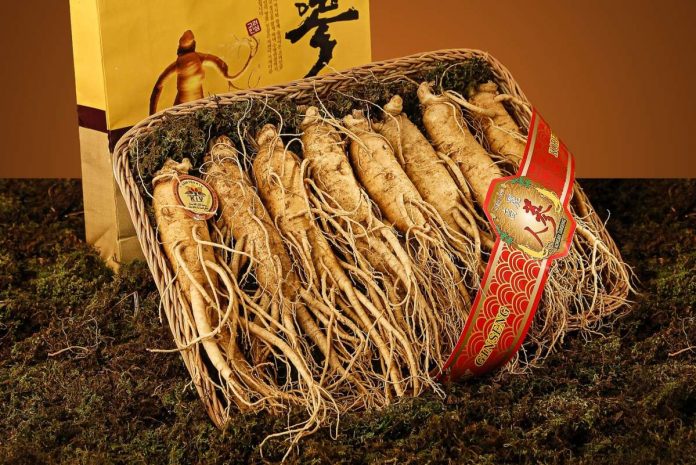 Ginseng