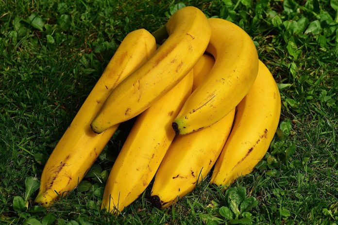 Plátano