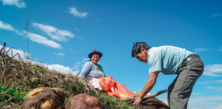 Agricultores