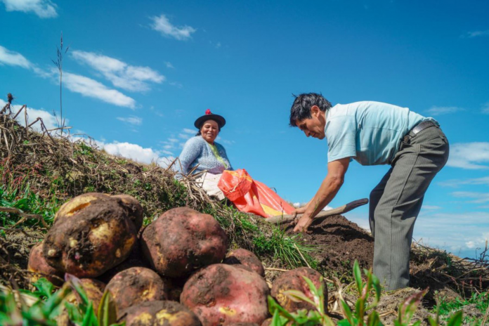 Agricultores