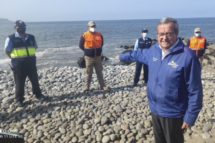 Miraflores restringe acceso a playas hasta levantar aves muertas