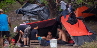 migrantes