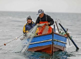 BONO PESCADOR
