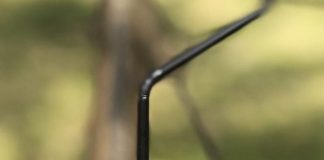 Cremolada de lúcuma