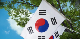 Corea del Sur denunció que hackers chinos atacaron sitios web de instituciones