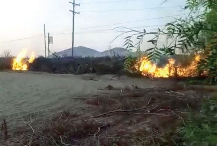Manifestantes incendiaron empresas agroexaportadoras en Ica