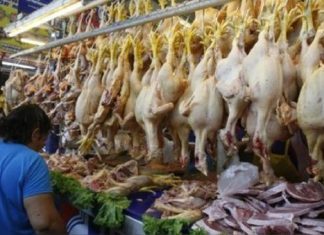 PRECIO DE POLLO PRESENTA SU NIVEL MÁS BAJO EN LO QUE VA DEL AÑO